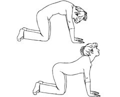 marjariaasan-cat-pose
