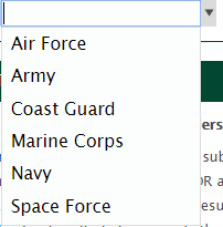 Screenshot of choices for which branch of service you intend to commission in. 