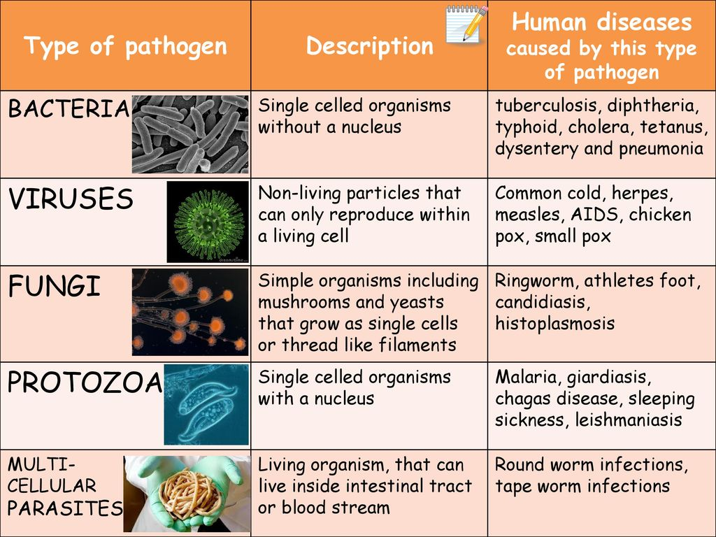 Human disease. Causes of some diseases. Classification of Human parasites.