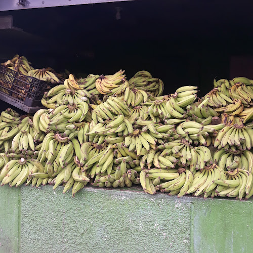 Opiniones de Bodega De Verde Y Frutas en Quito - Frutería