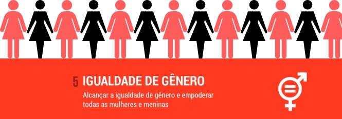 Brasil tem enormes desafios para alcançar a igualdade de gênero | GT Agenda  2030