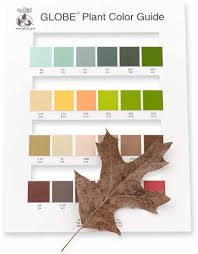 The GLOBE Plant Color Guide