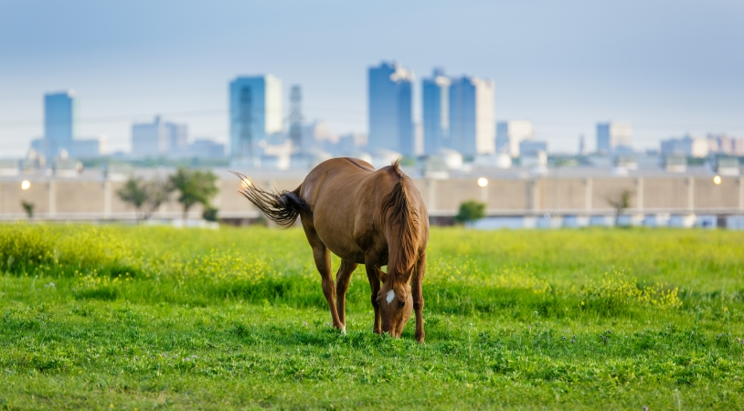 Fort Worth, Texas, is one of the best places to live in Texas.