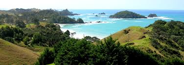 Image result for tutukaka info