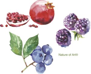 Natural Organic Paint From Dyes & Ink | How-to Teach Children