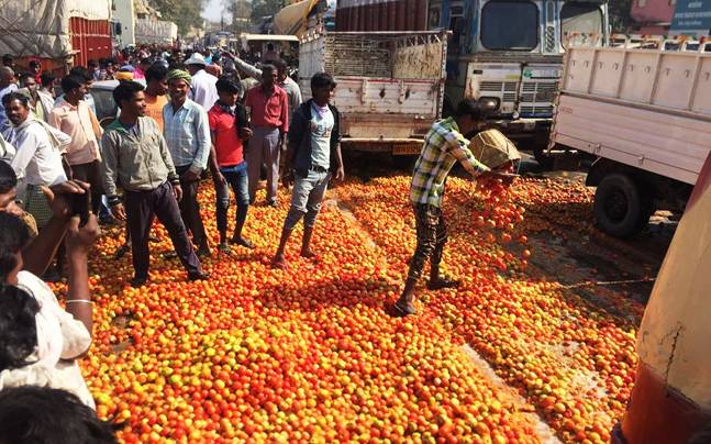 Tomato on its toe: At 50 paise a kilo, Chhattisgarh farmers prefer crushing  their produce under trucks - FYI News