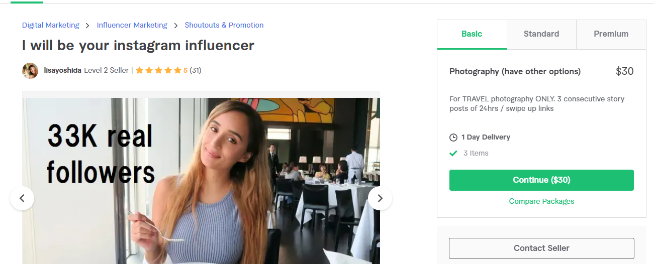fiverr gig example 