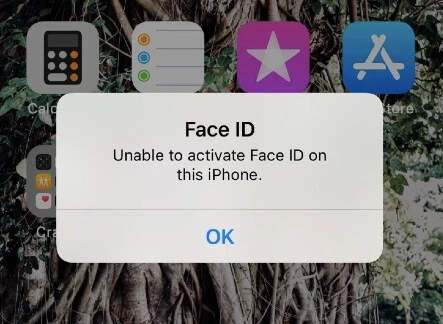 Unable to Activate Face ID
