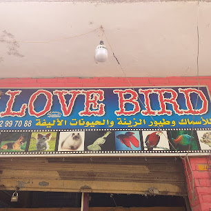 Love Bird للأسماك وطيور الزينة والحيوانات الأليفة