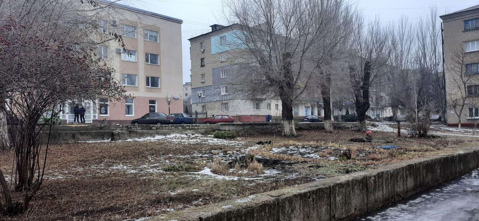 C:\Users\brasl\OneDrive\Desktop\ВВ\Статьи малые\Готово к написанию\Лис шины\134154978_699909694060356_1673799096350532232_n.jpg