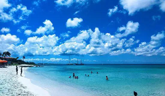 海に入る人々

中程度の精度で自動的に生成された説明
