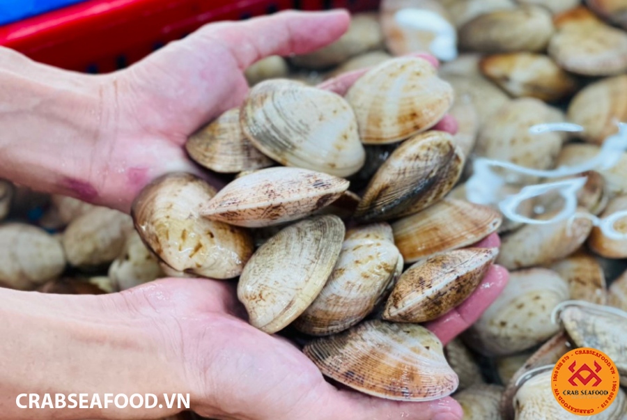 Crac Seafood chuyên bán ngao sò ốc tươi sống