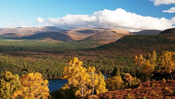 Image result for cairngorms national park