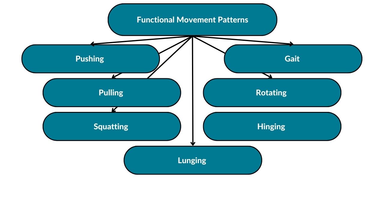 The image showcases different functional movement patterns. These include pushing, pulling, squatting, lunging, hinging, rotating, and gait.