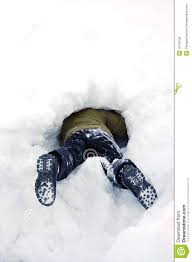 Image result for legs in snow