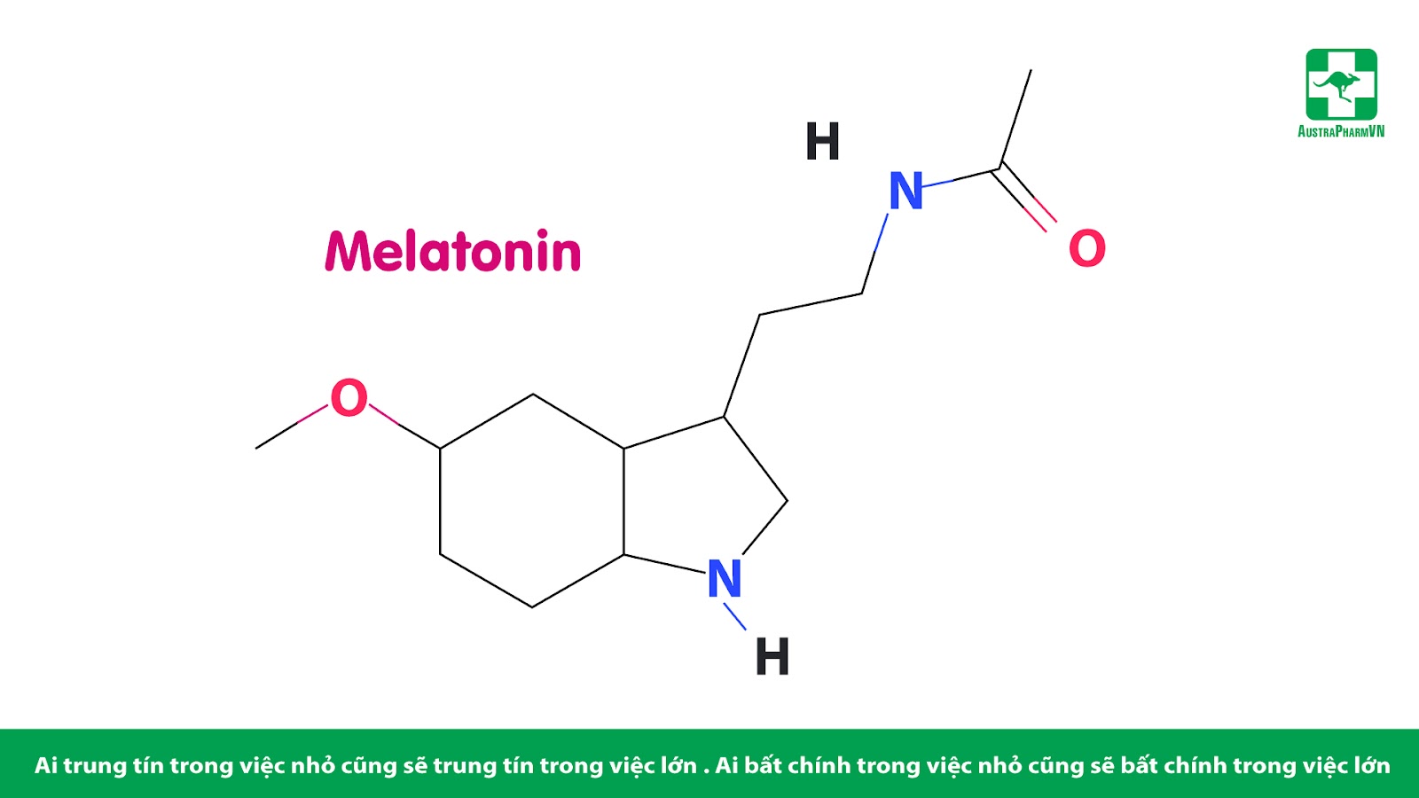 VÌ SAO TRYPTOPHAN GIÚP CẢI THIỆN TÂM TRẠNG VÀ GIẤC NGỦ?