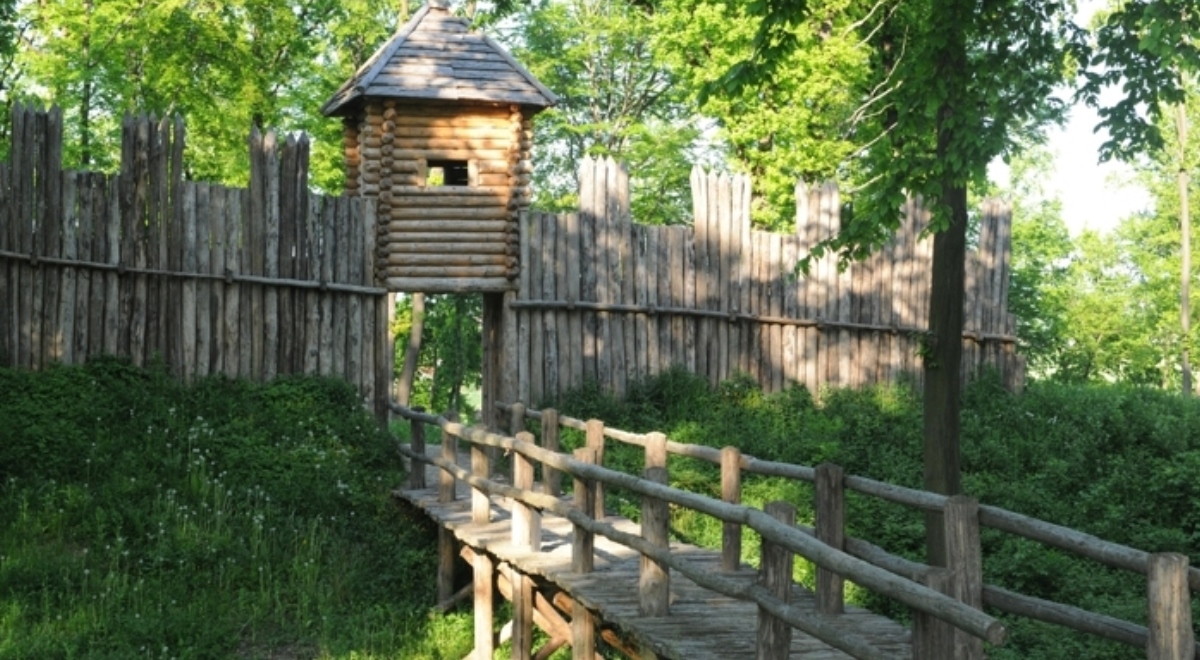 Skansen w Trzcinicy