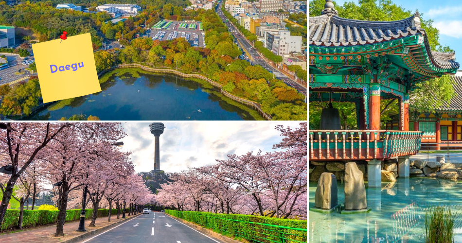 Daegu