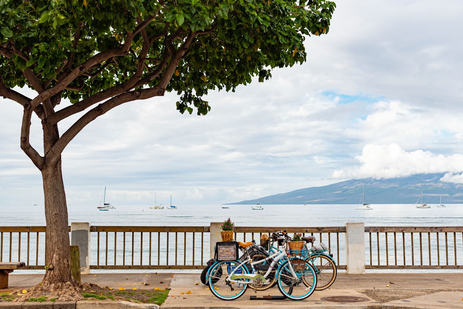 Biking in Maui