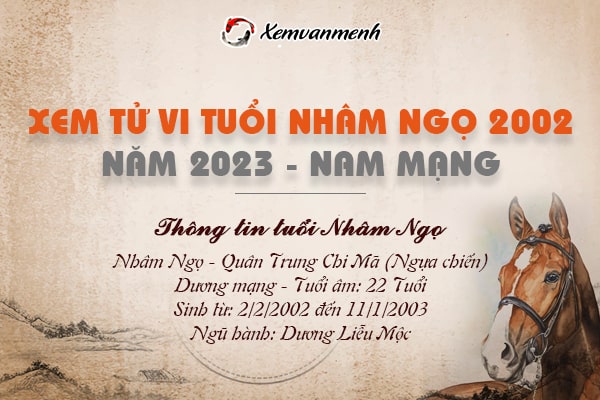 Xem bói tử vi tuổi Nhâm Ngọ nam mạng năm 2023 