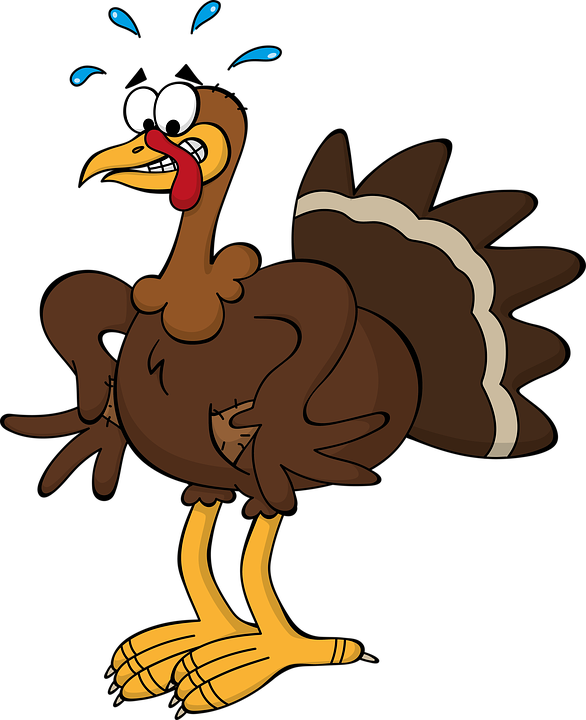 Free illustration: Turkey, Cash Strapped, Bust, Arm - Free Image ...