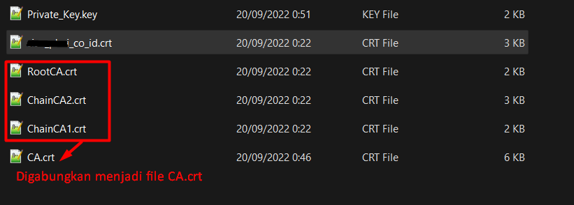 Apa Itu File PFX dan Cara Membuatnya