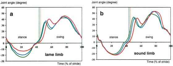 Fetlock joint angle pattern of the lame (A) and contralateral sound (B) forelimb of one horse with 2° of induced forelimb lameness at the trot.