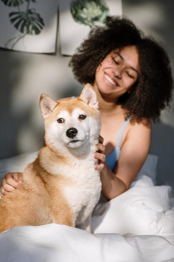 mulher fazendo carinho no cachorro enquanto estão sentados na cama