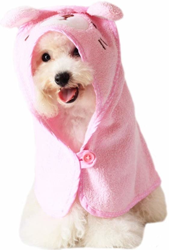 Poodle in pink bathrobe