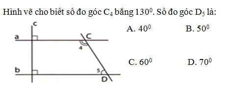 Hình ảnh không có chú thích