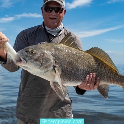 Is freshwater drum good to eat