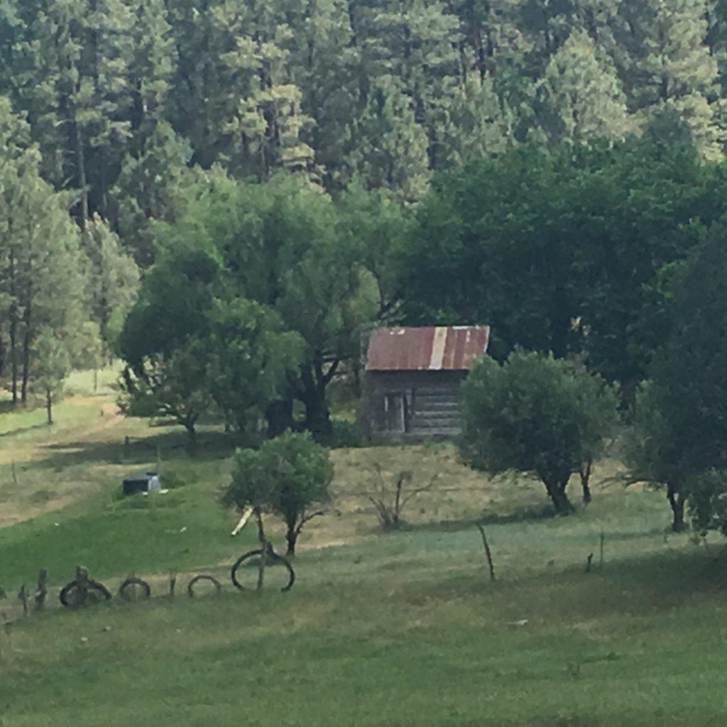 A picture containing tree, grass, outdoor, field

Description automatically generated