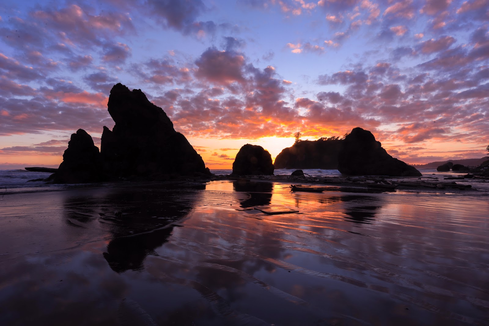 Olympic National Park is a great weekend getaway from Seattle