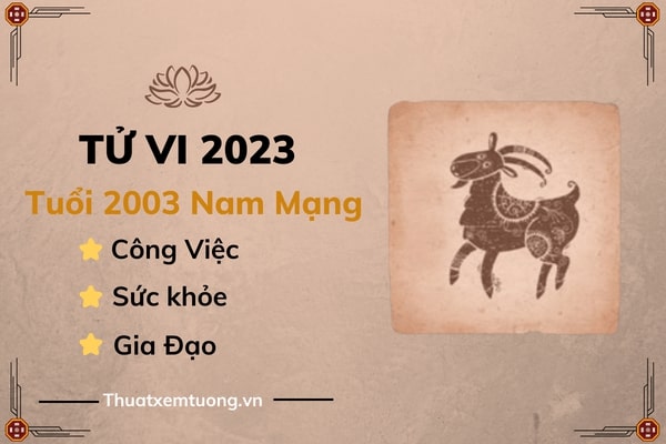 tu-vi-tuoi-quy-mui-nam-2023-nam-mang-2003