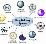 Controlled Drug Delivery System: Physicochemical And Biological ...