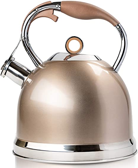 INDUCTION KETTLE WITH WOK POT