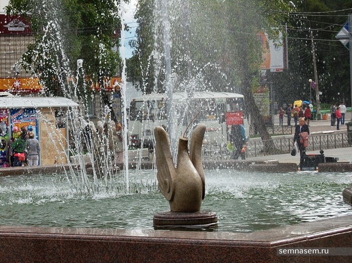 93905_Лебедь без головы.JPG