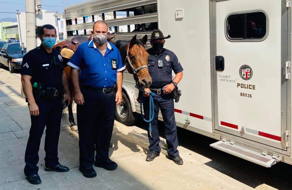 LAPD Equestrian on Melrose