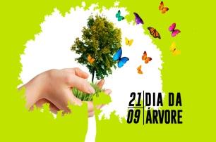 Dia da árvore: curiosidades e origem da data | Blog da MacbootBlog Planeta  Macboot | Faça parte desta aventura