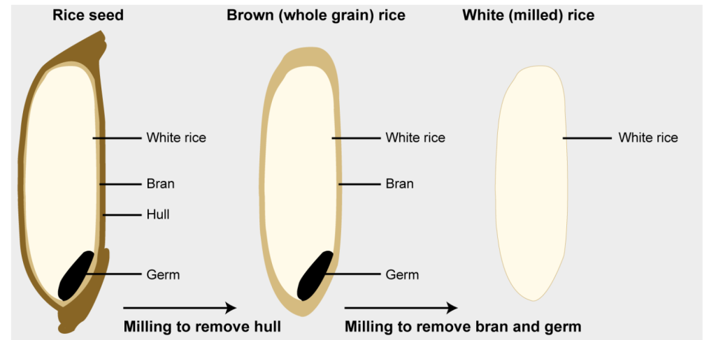 brown rice and white rice