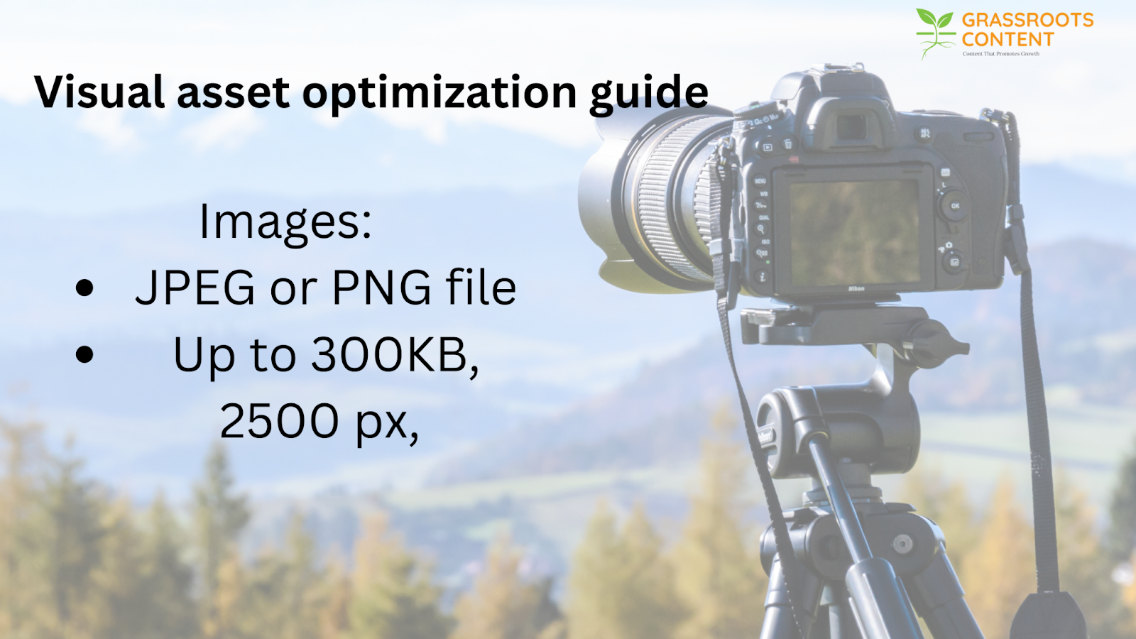 Camera on tripod with text 'Visual asset optimization guide' as a part of the essential SEO components.