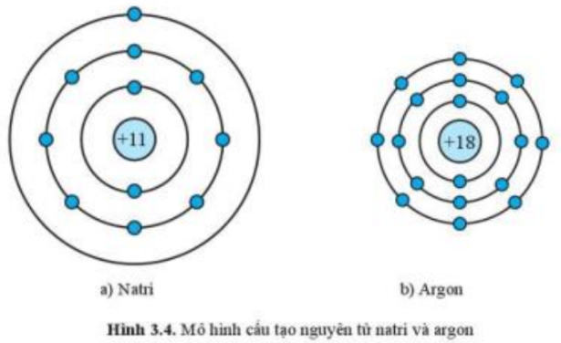 Câu hỏi trang 21 SGK TN&XH 7 CD tập 1