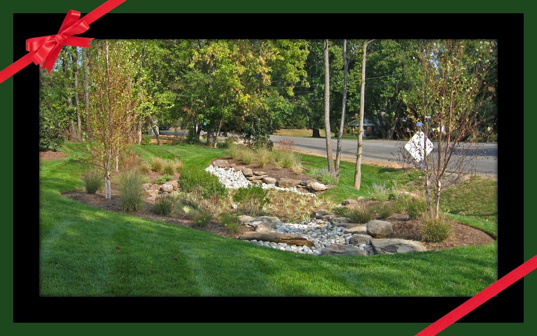 rain-garden388.jpg