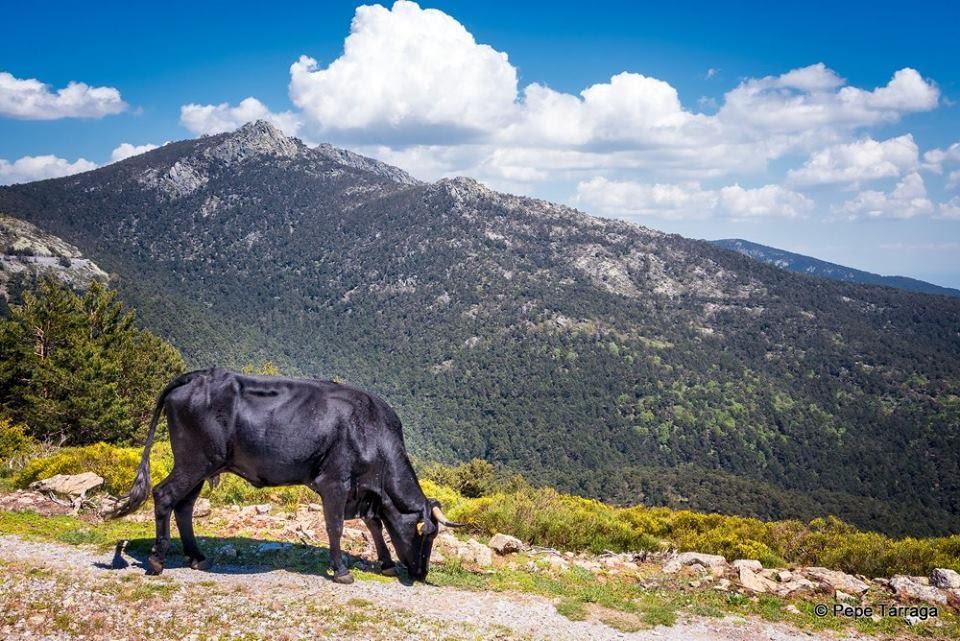 La imagen puede contener: nubes, cielo, montaÃ±a, exterior y naturaleza