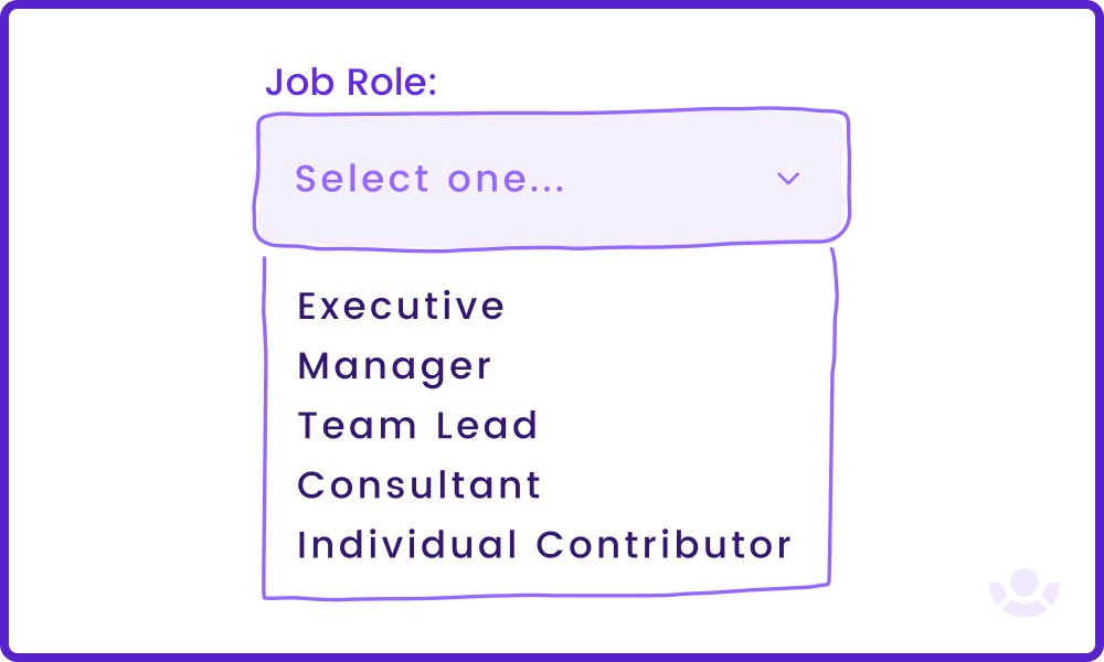 Lead-capture form example: pre-defined options for job roles