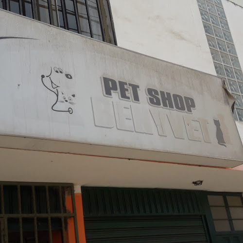 Benyvet - Veterinario