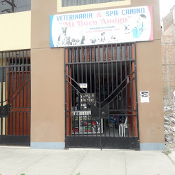 Mi Buen Amigo