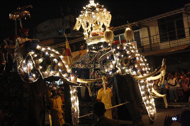 Fichier:Elephants of Kandy Esala Perahera.jpg