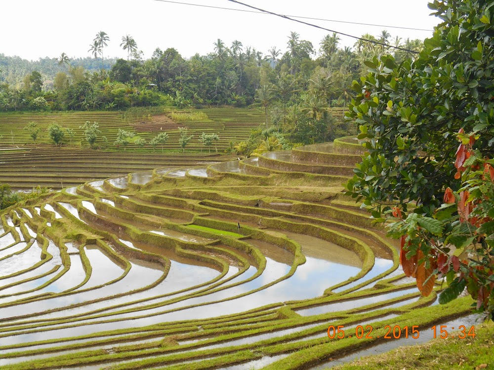 С Бали на Яву на прокатном авто, к вулканам  Иджен и Бромо.
