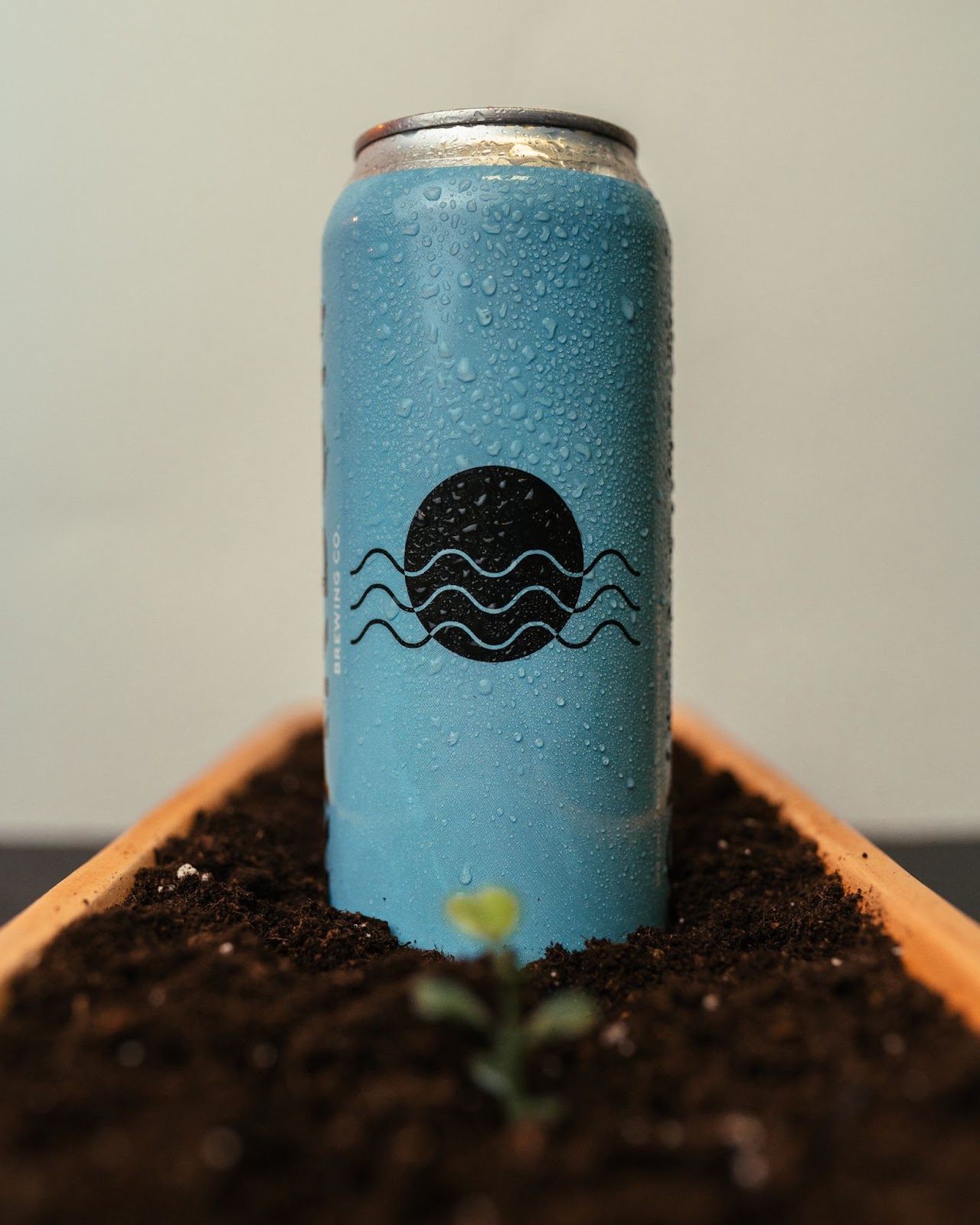 A can of Karbon beer sitting in a planter.  The can is turquoise and has Karbon's logo on the front.